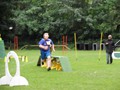 SAM_1309