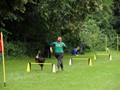 SAM_1317