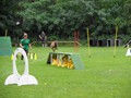 SAM_1319