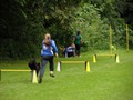 SAM_1322