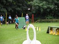SAM_1323