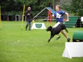 SAM_1325