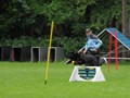 SAM_1328_1
