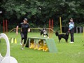 SAM_1331