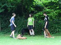 IMG_6678