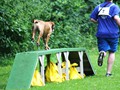 IMG_6989