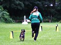 IMG_7065