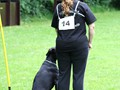 IMG_7195