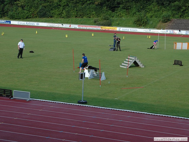CSC_DSC_1993