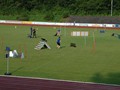 CSC_DSC_1970