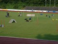 CSC_DSC_1971