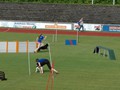 CSC_DSC_1973_a