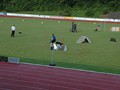 CSC_DSC_1993