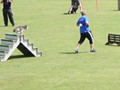 CSC_J_IMG_6340_a