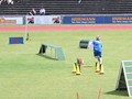 CSC_J_IMG_6355_a