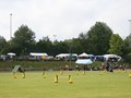 DS_IMG_6230