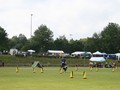 DS_IMG_6235