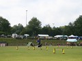 DS_IMG_6236
