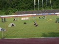 IMG_6290
