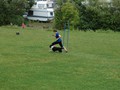 SL_DSC_1918