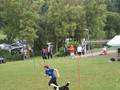 SL_IMG_6222