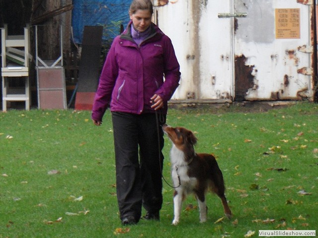 SAM_1685_a