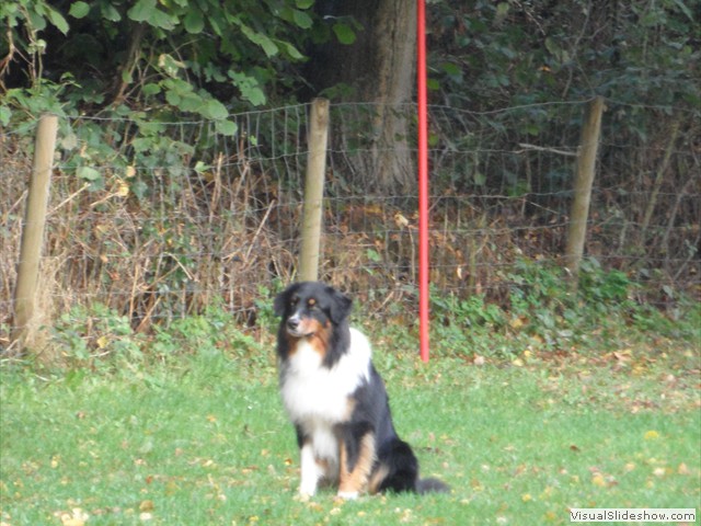 SAM_1698