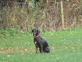 SAM_1675_a