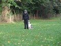 SAM_1679