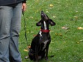 SAM_1681_a