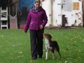 SAM_1685_a