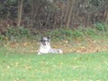 SAM_1687_a