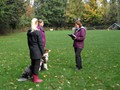SAM_1691