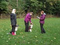 SAM_1692