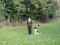 SAM_1695