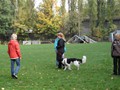 SAM_1696