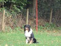 SAM_1698