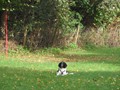 SAM_1699
