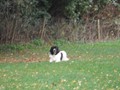 SAM_1706