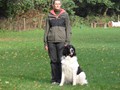 SAM_1711_a