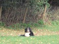 SAM_1712