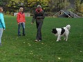 SAM_1714_a