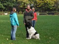 SAM_1715_a