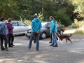 SAM_1734