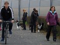 SAM_1746_a