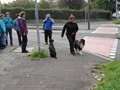 SAM_1754