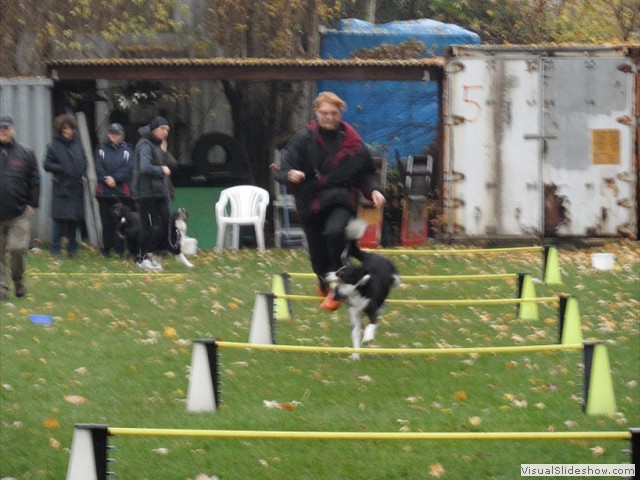 SAM_2003_a