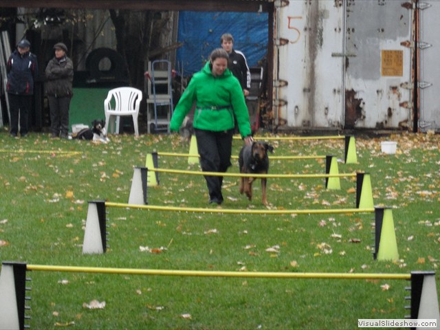 SAM_2010_a
