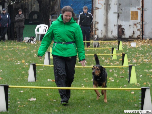 SAM_2011_a