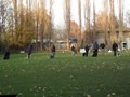 SAM_1807